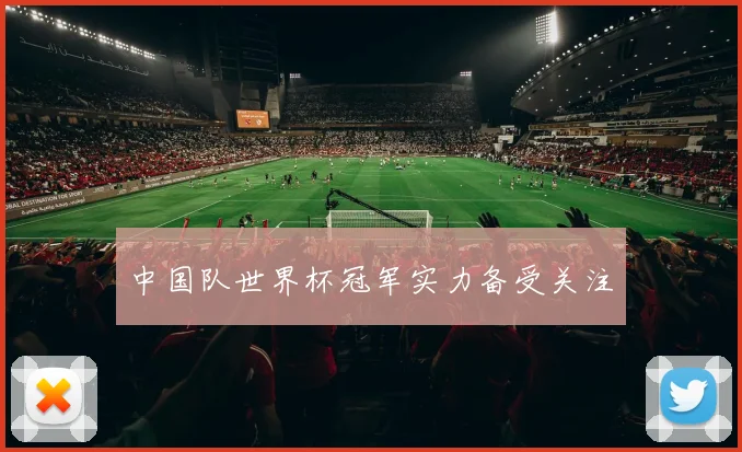 中国队世界杯冠军实力备受关注