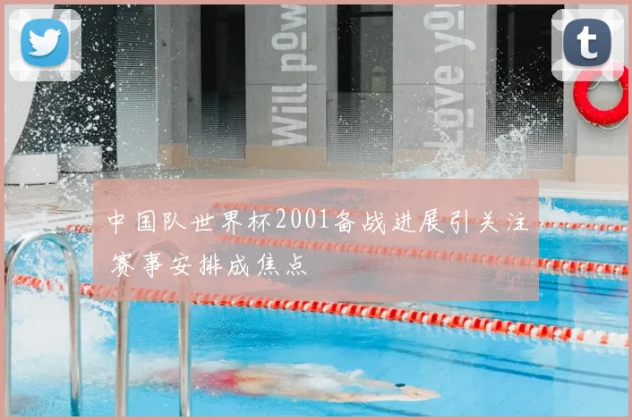 中国队世界杯2001备战进展引关注 赛事安排成焦点