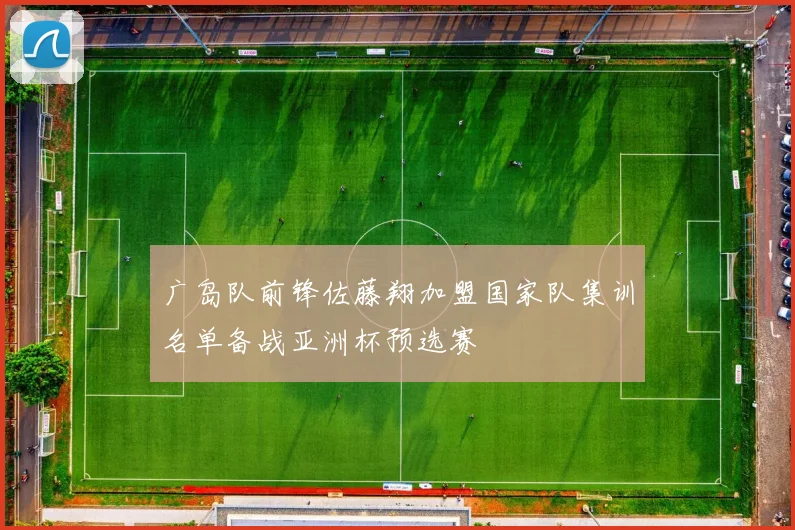 广岛队前锋佐藤翔加盟国家队集训名单备战亚洲杯预选赛