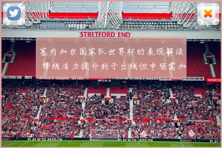 塞内加尔国家队世界杯的表现解读 锋线活力提升利于出线但中场需加强