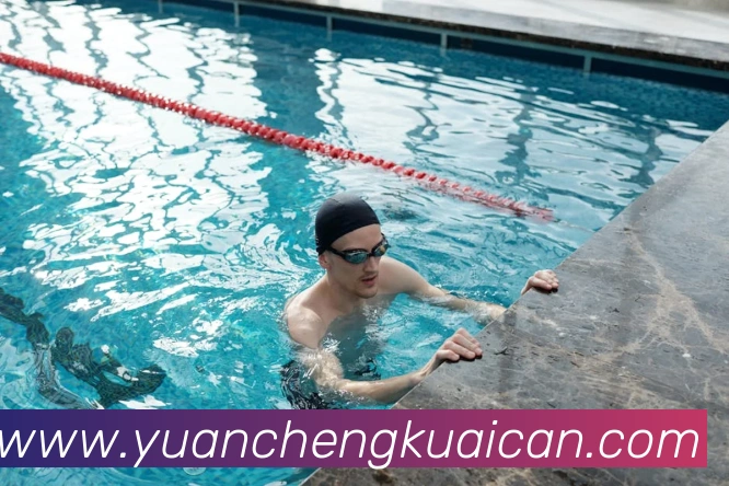 开云网页版app官网平台生态图